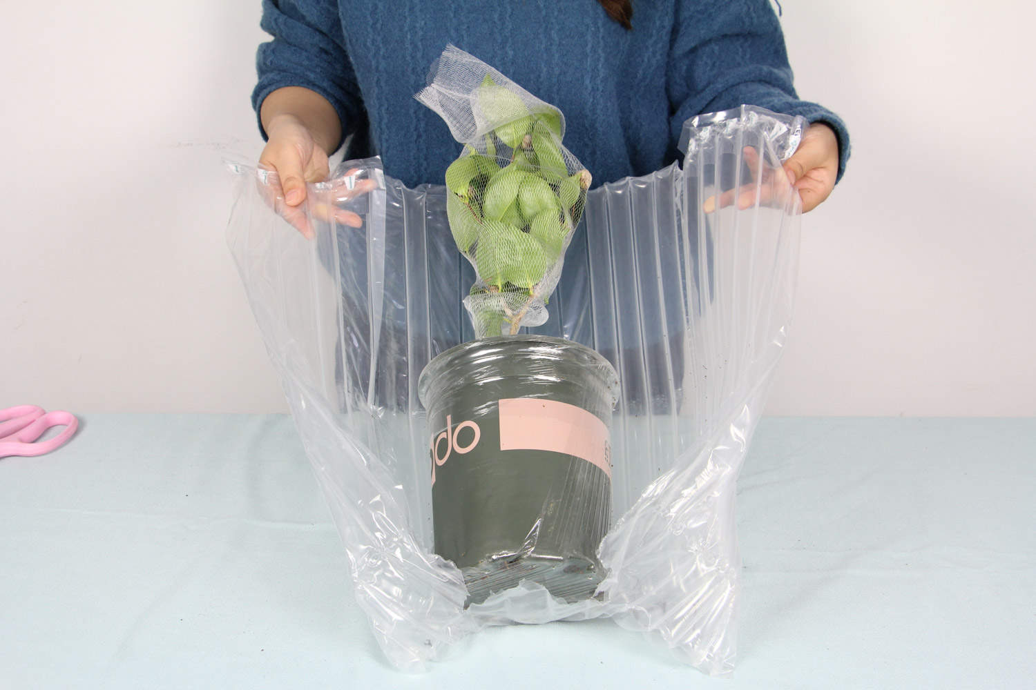 茶花叶子冻伤怎么办