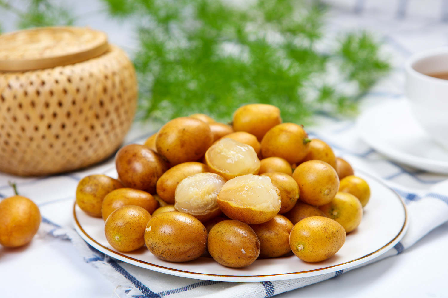 黑皮黄皮果品种与特点